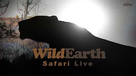 WildEarth Safari Live